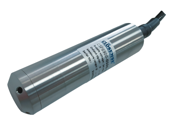 CSP69系列壓力型投入式液位變送器